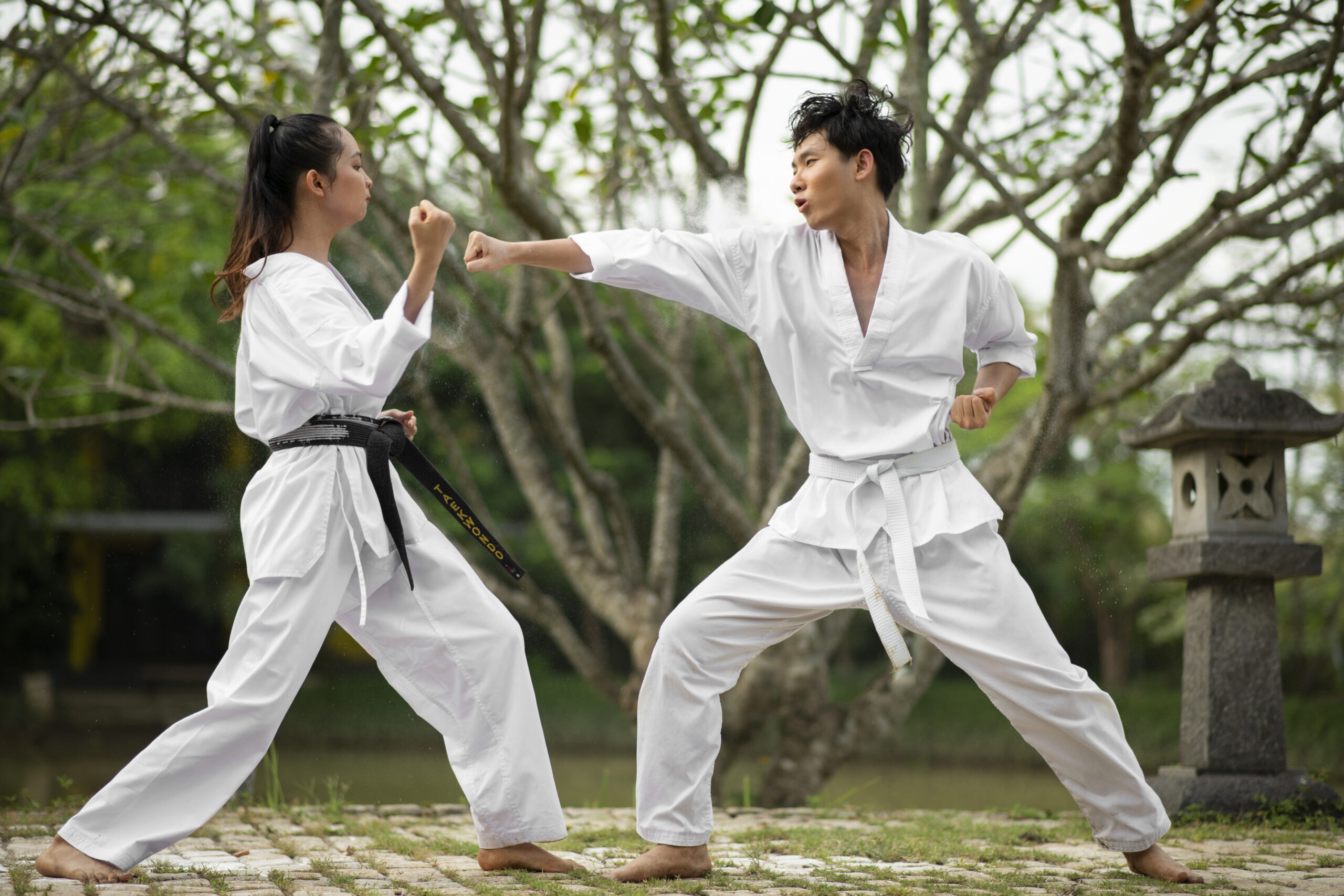 The Hidden Benefits of Martial Arts No One Talks About
