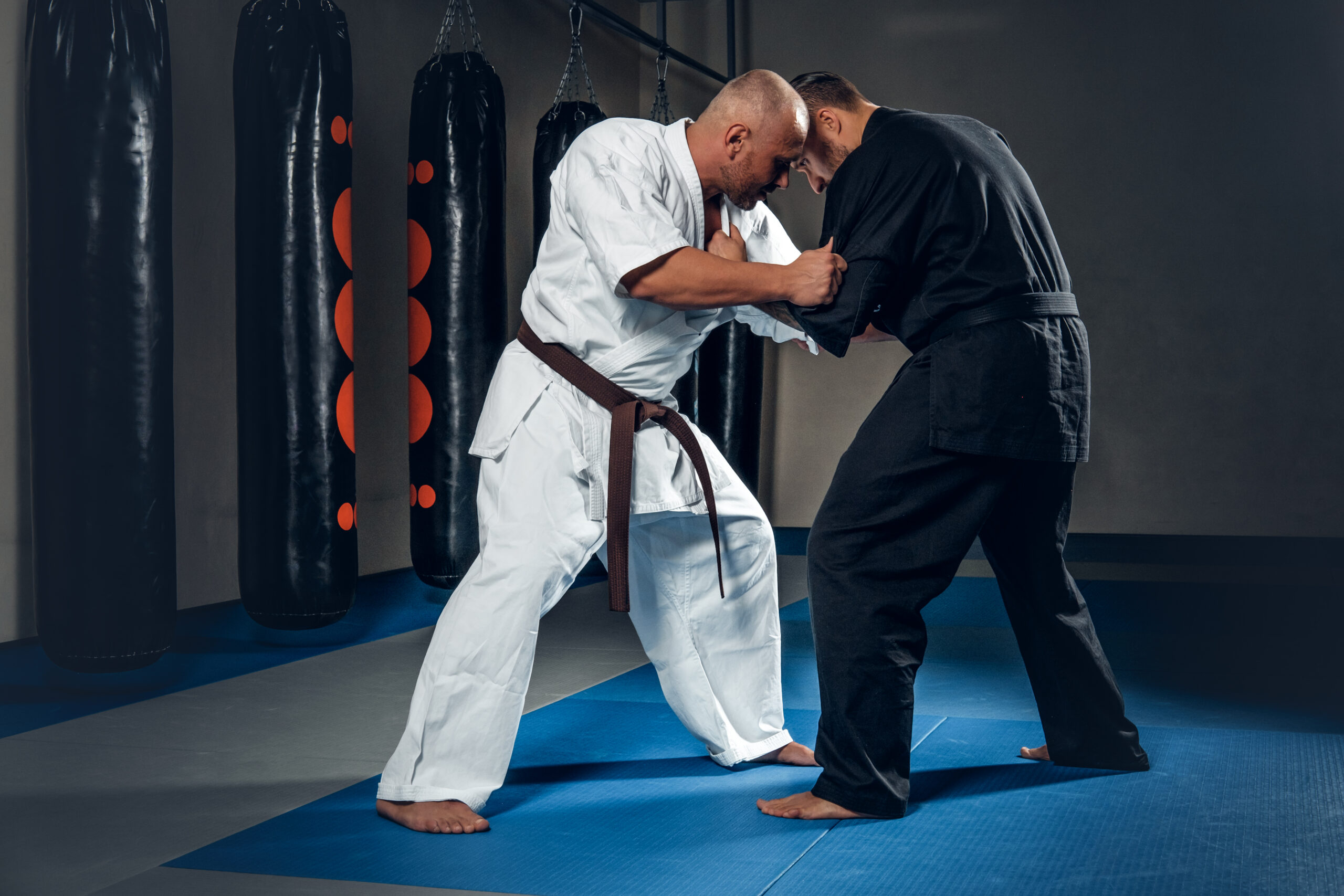 Tai Chi Training Broadview Heights | Shaolin Kung Fu Institute